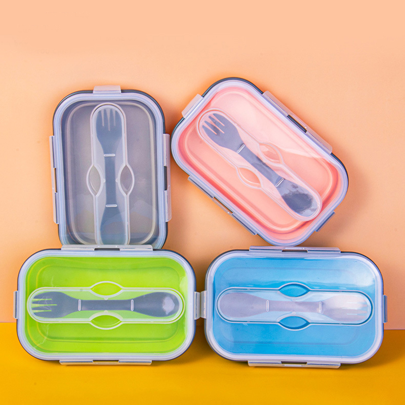 Boîte à aliments pliable pour  - Health Wellness Items avis et prix