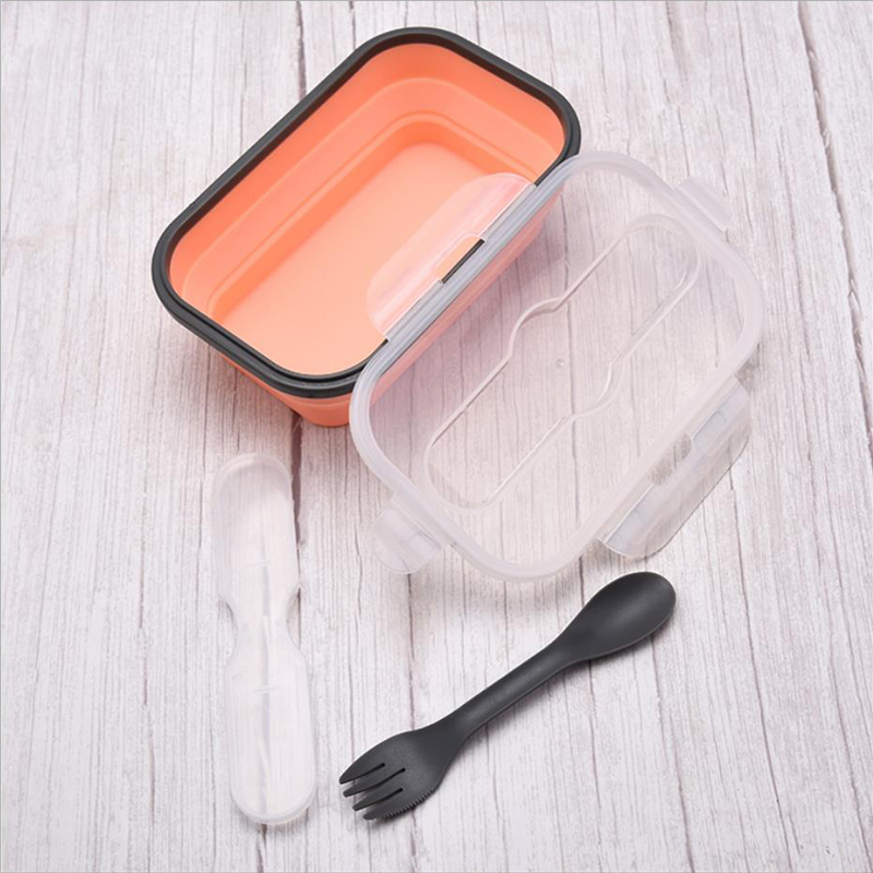 Boîte à aliments pliable pour  - Health Wellness Items avis et prix