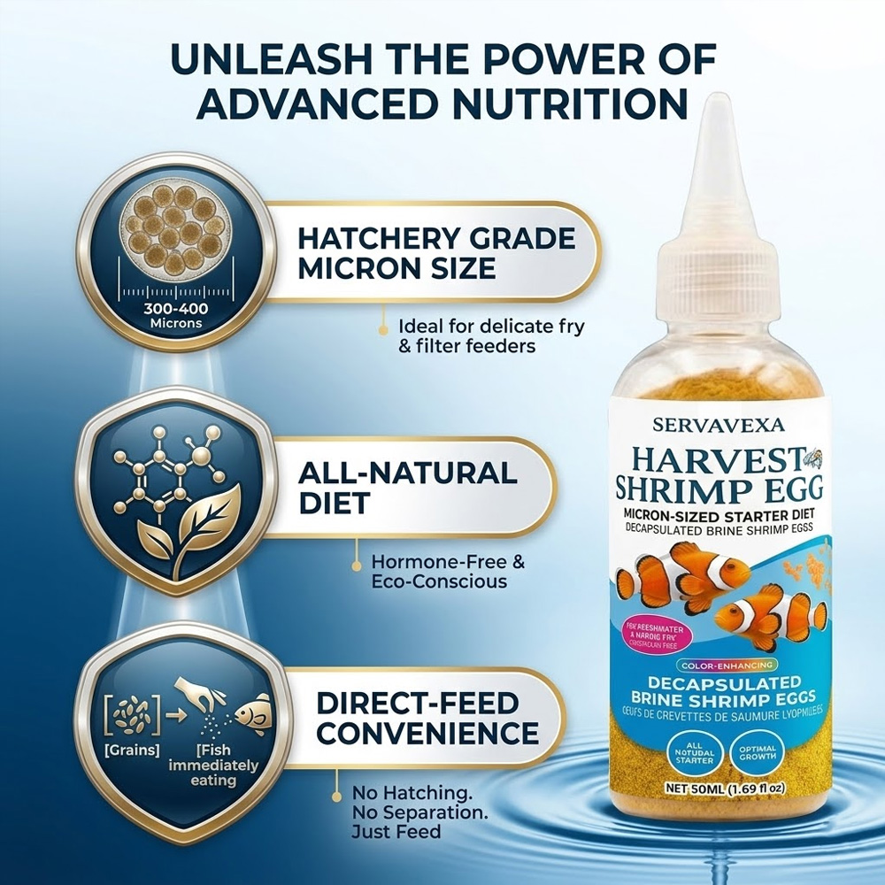 Nourriture pour poissons riche - Health Wellness Items avis et prix